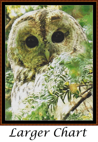 In The Tree  