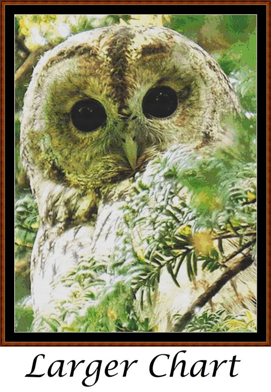 In The Tree  