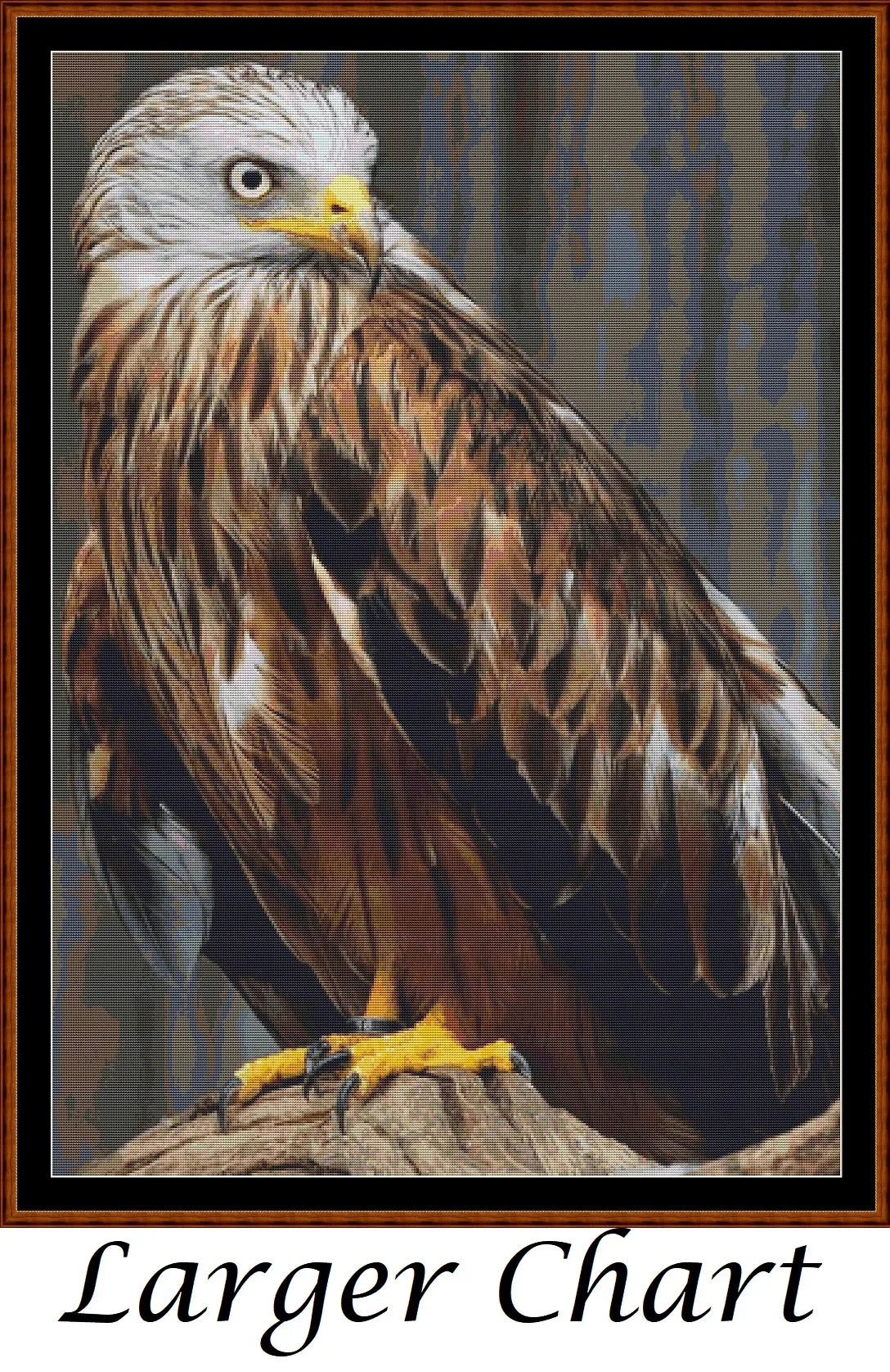 Red Kite  