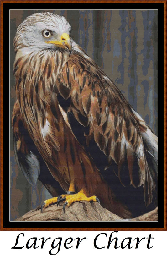 Red Kite  