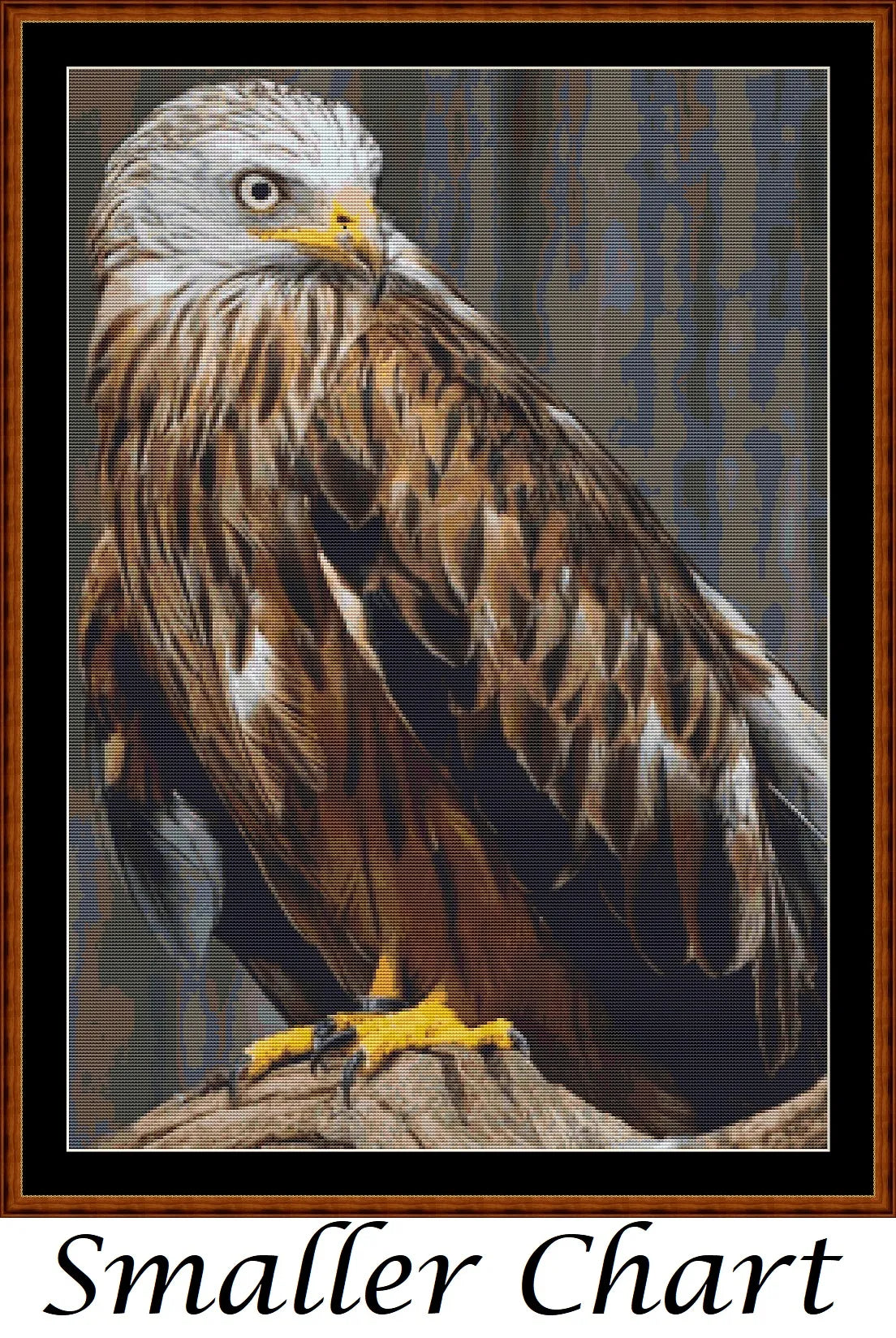 Red Kite  