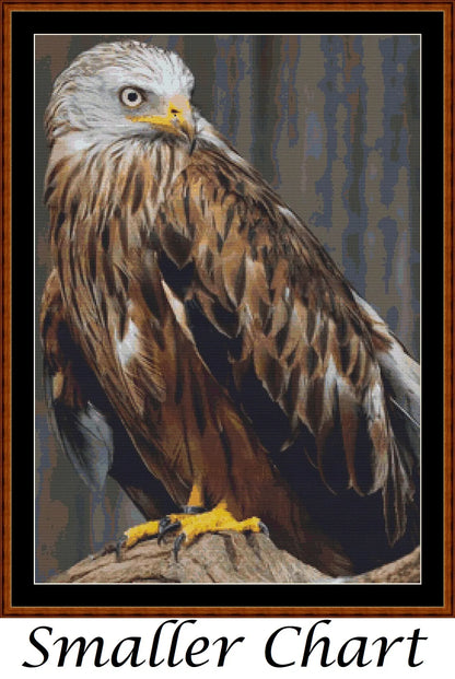 Red Kite  