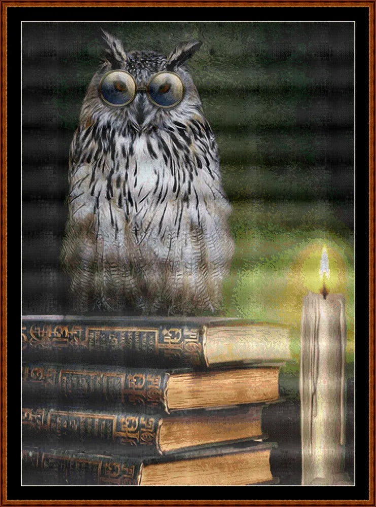 Book Owl  
