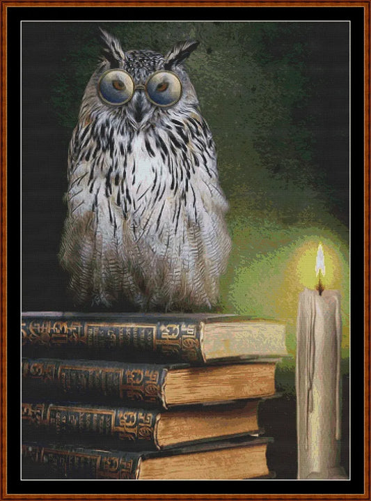Book Owl  