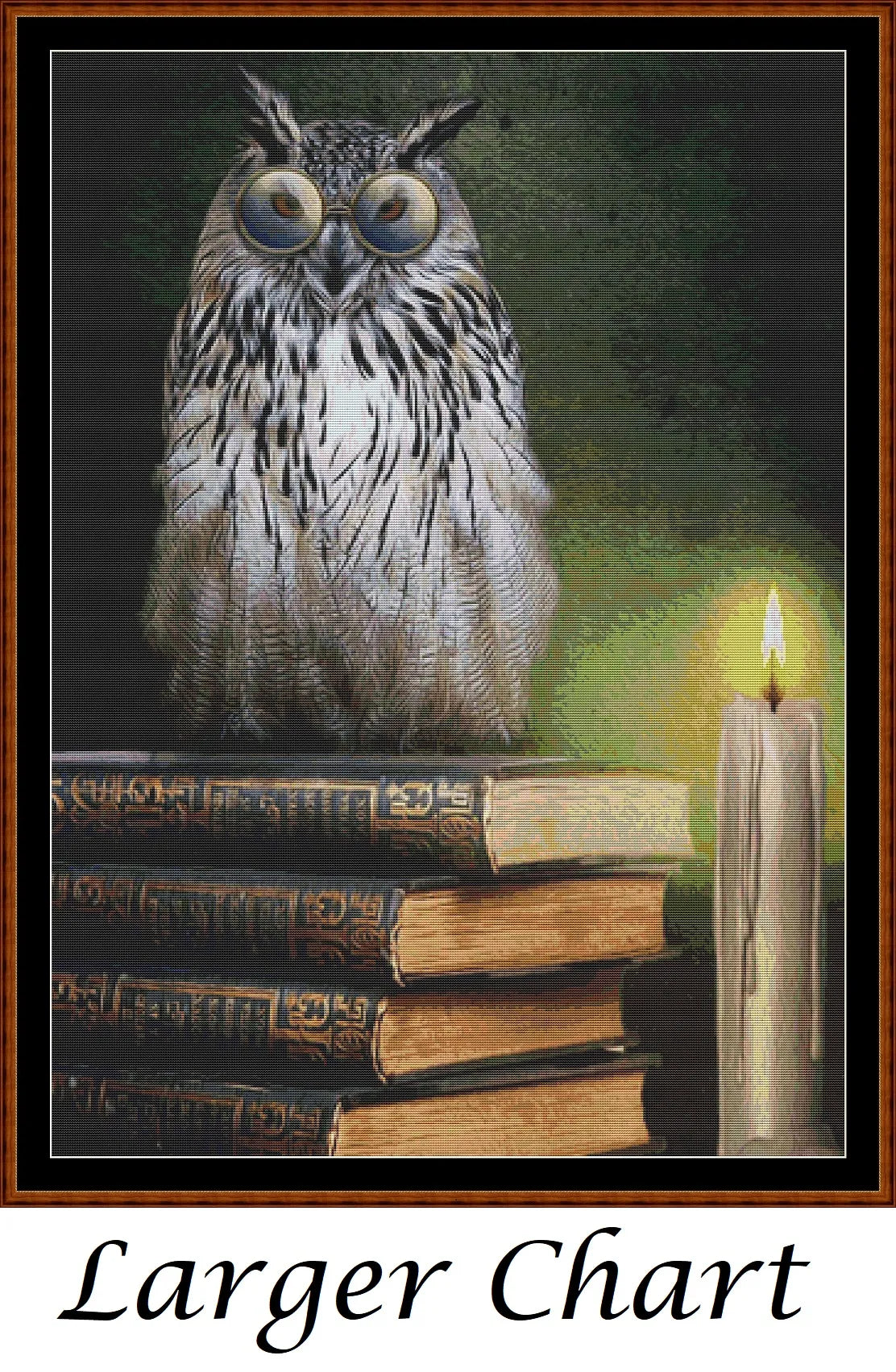 Book Owl  