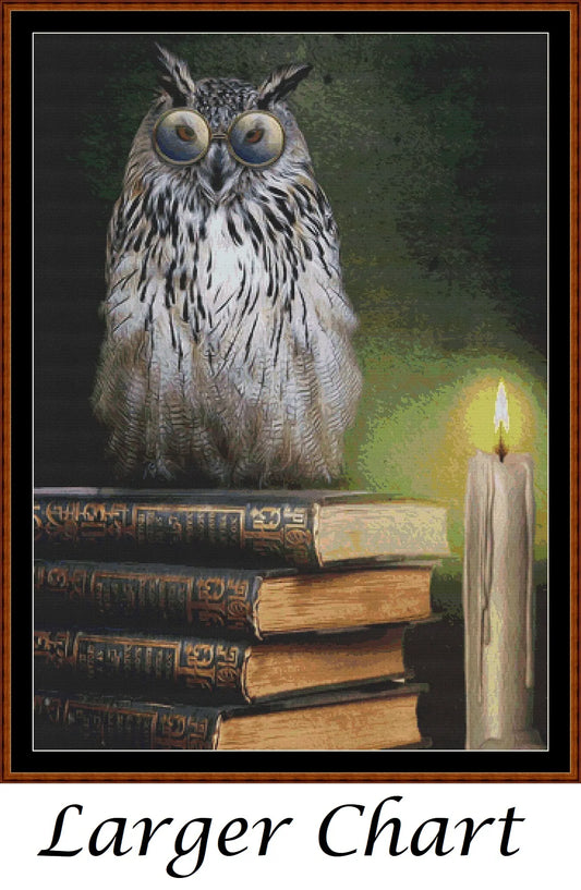 Book Owl  