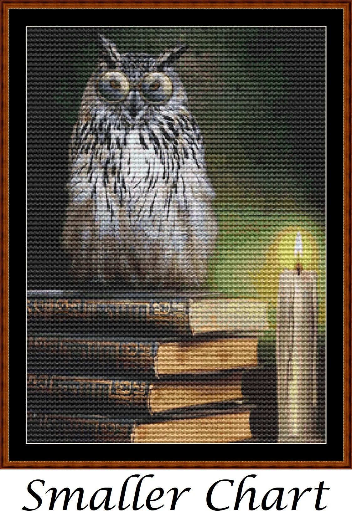 Book Owl  