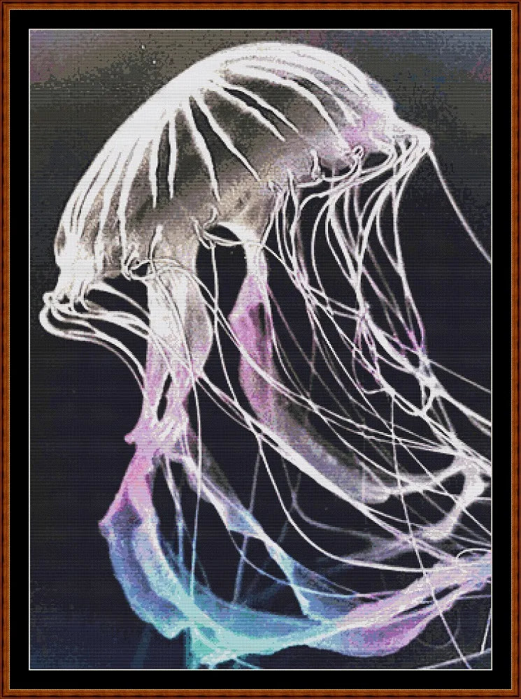 Jelly  