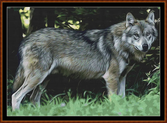 Wolf Portrait  