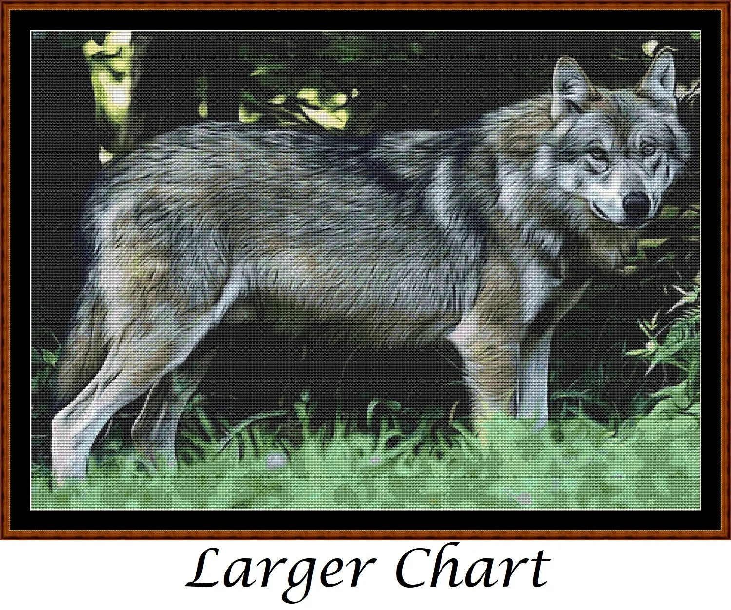 Wolf Portrait  