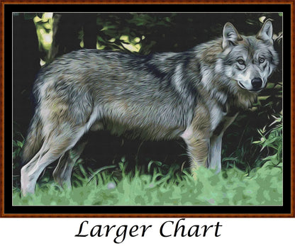 Wolf Portrait  