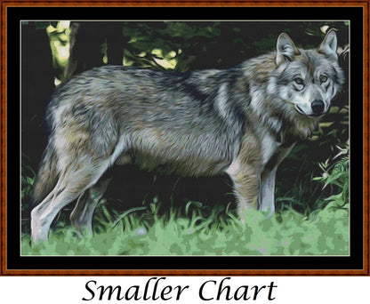 Wolf Portrait  
