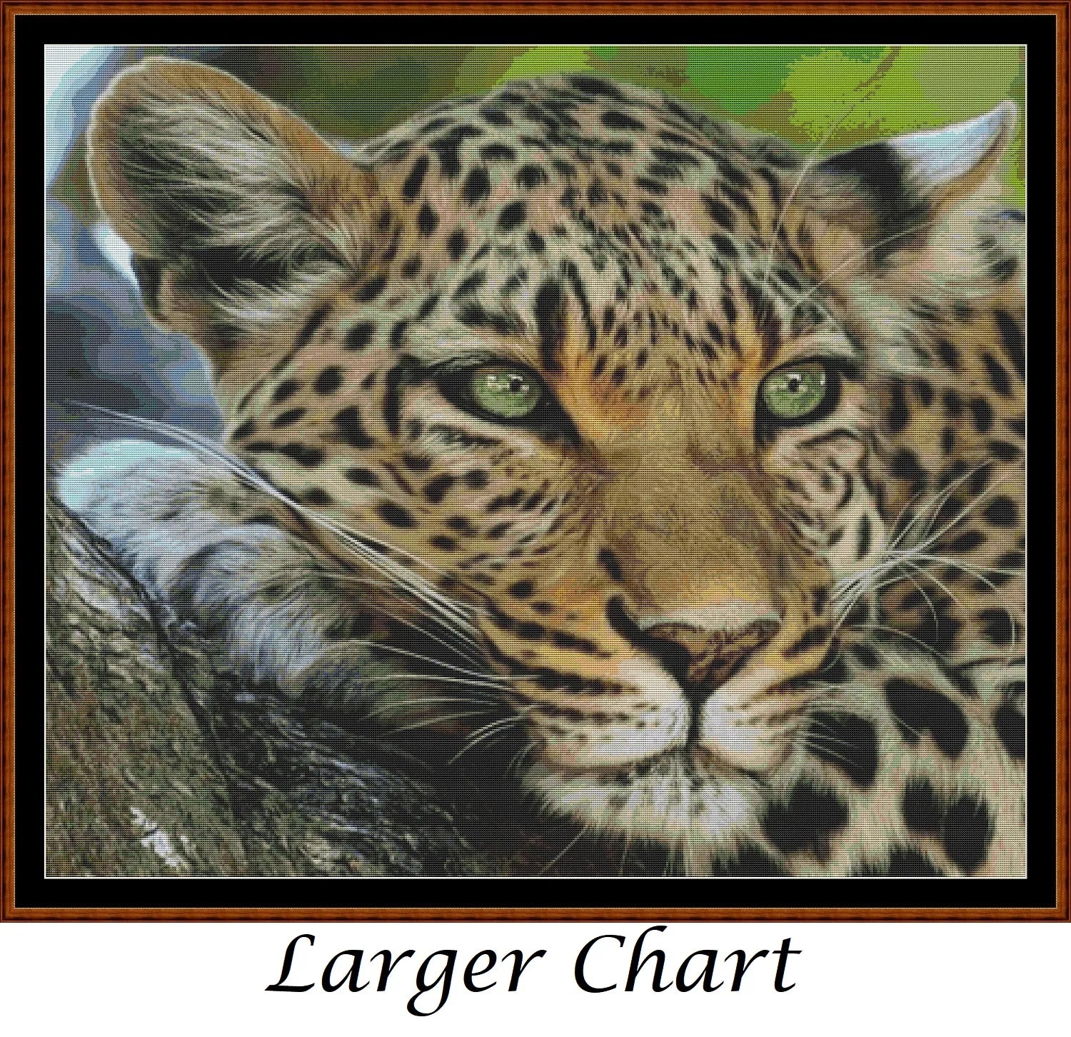Faces Of The Cat - Leopard  