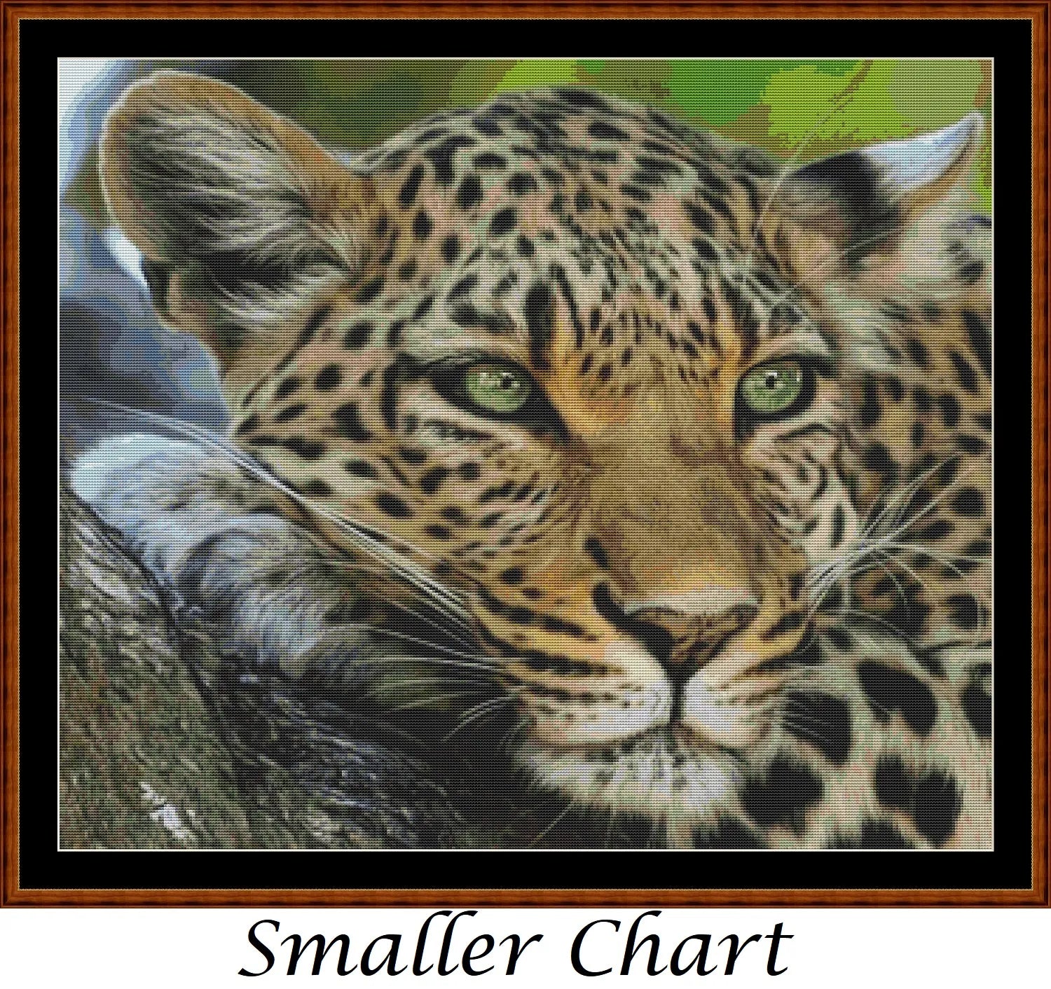 Faces Of The Cat - Leopard  