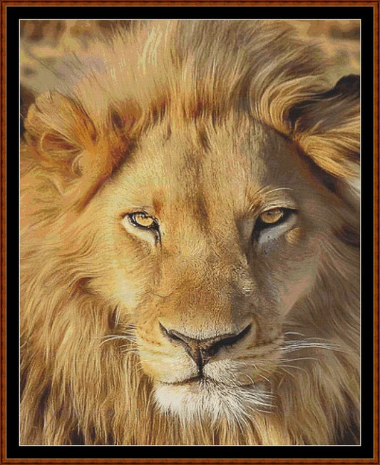 Faces Of The Cat - Lion  
