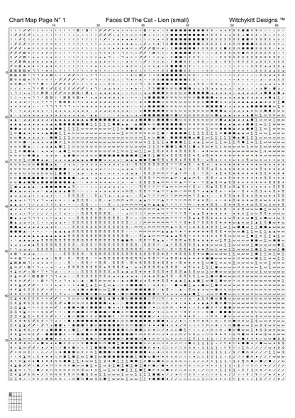Faces Of The Cat - Lion  