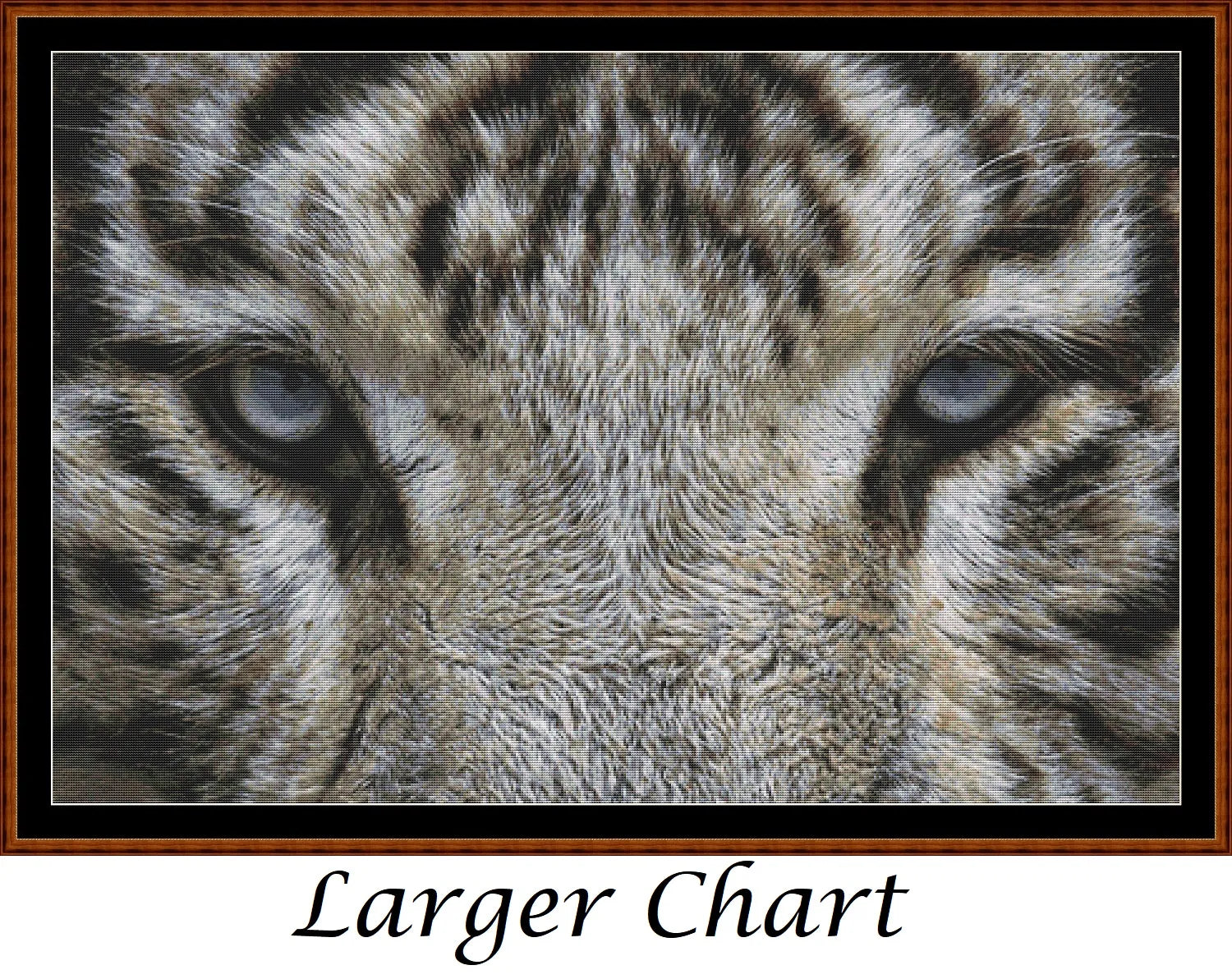 Eyes - White Tiger  