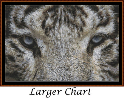 Eyes - White Tiger  
