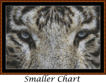 Eyes - White Tiger  