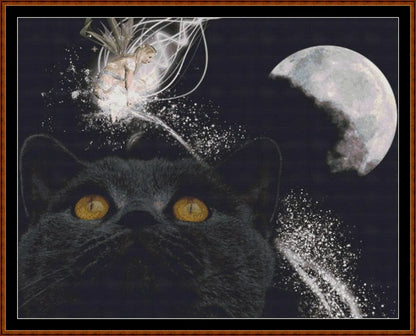 Cat Dreams  