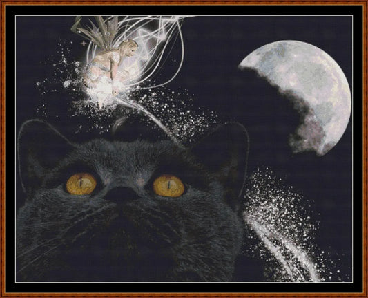 Cat Dreams  