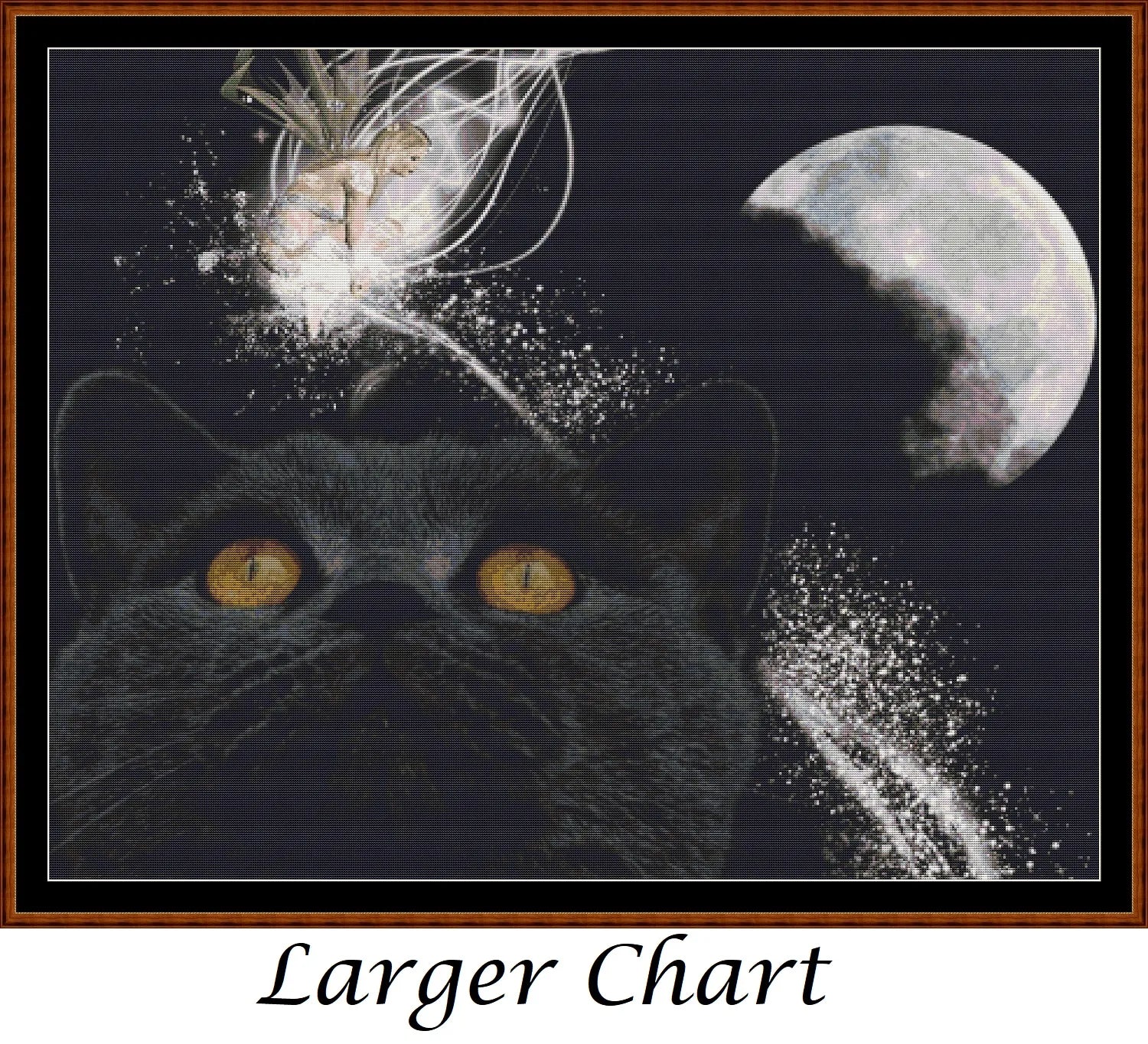 Cat Dreams  