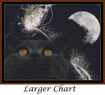 Cat Dreams  