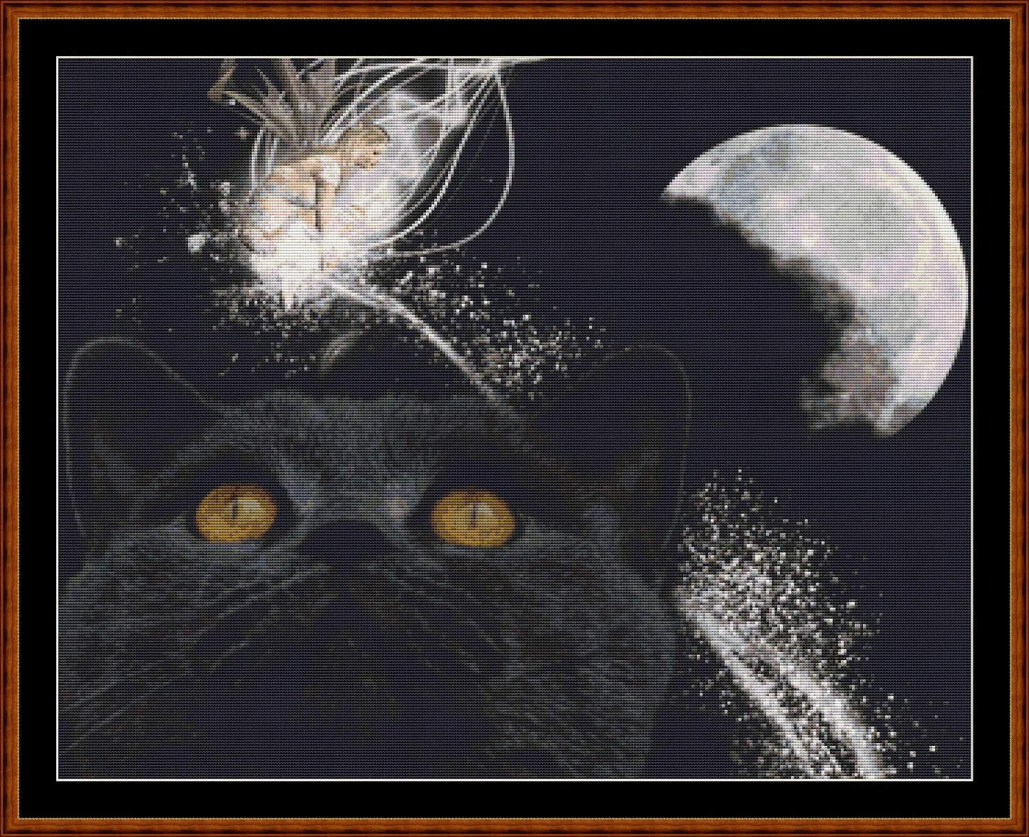 Cat Dreams  