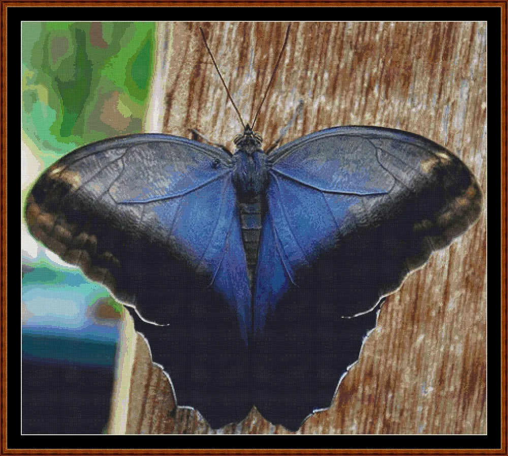 Little Wings - Cream Owl Butterfly  