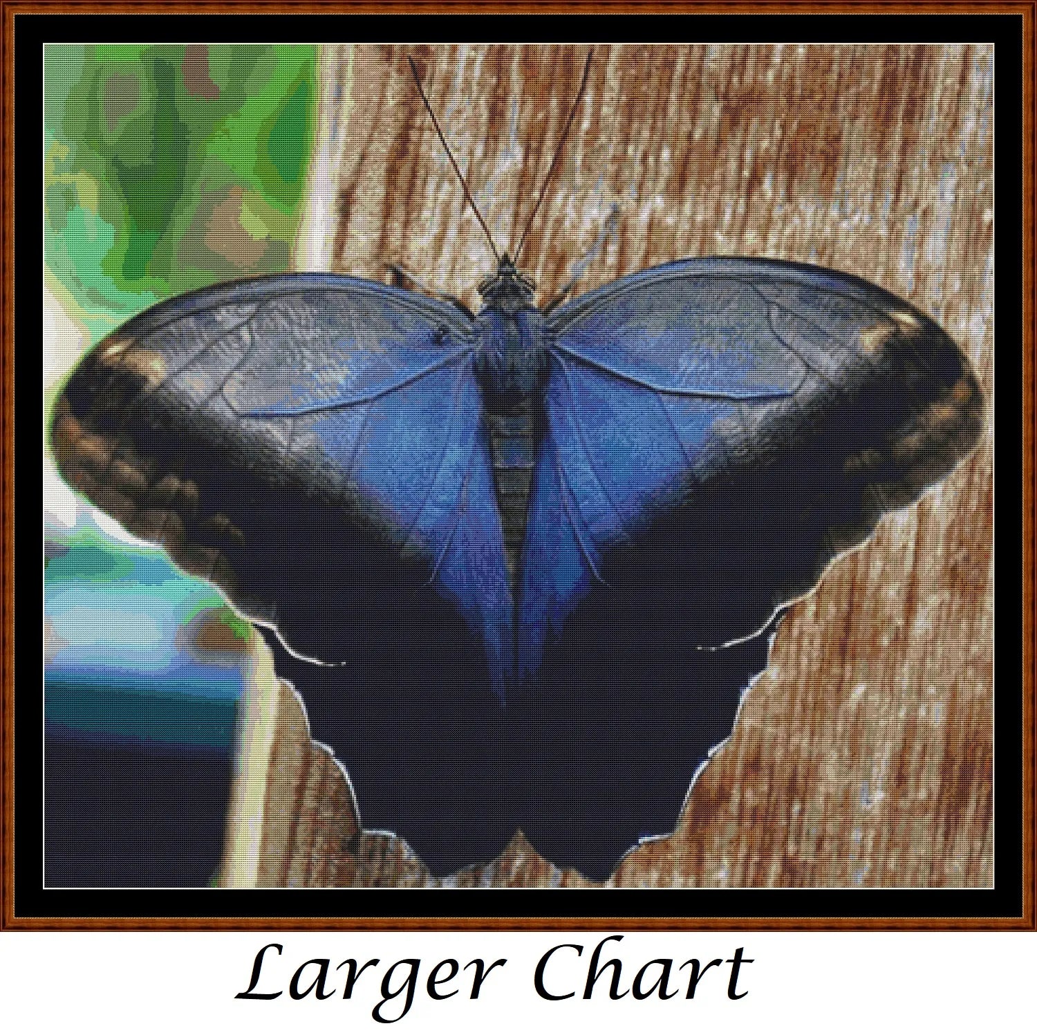 Little Wings - Cream Owl Butterfly  