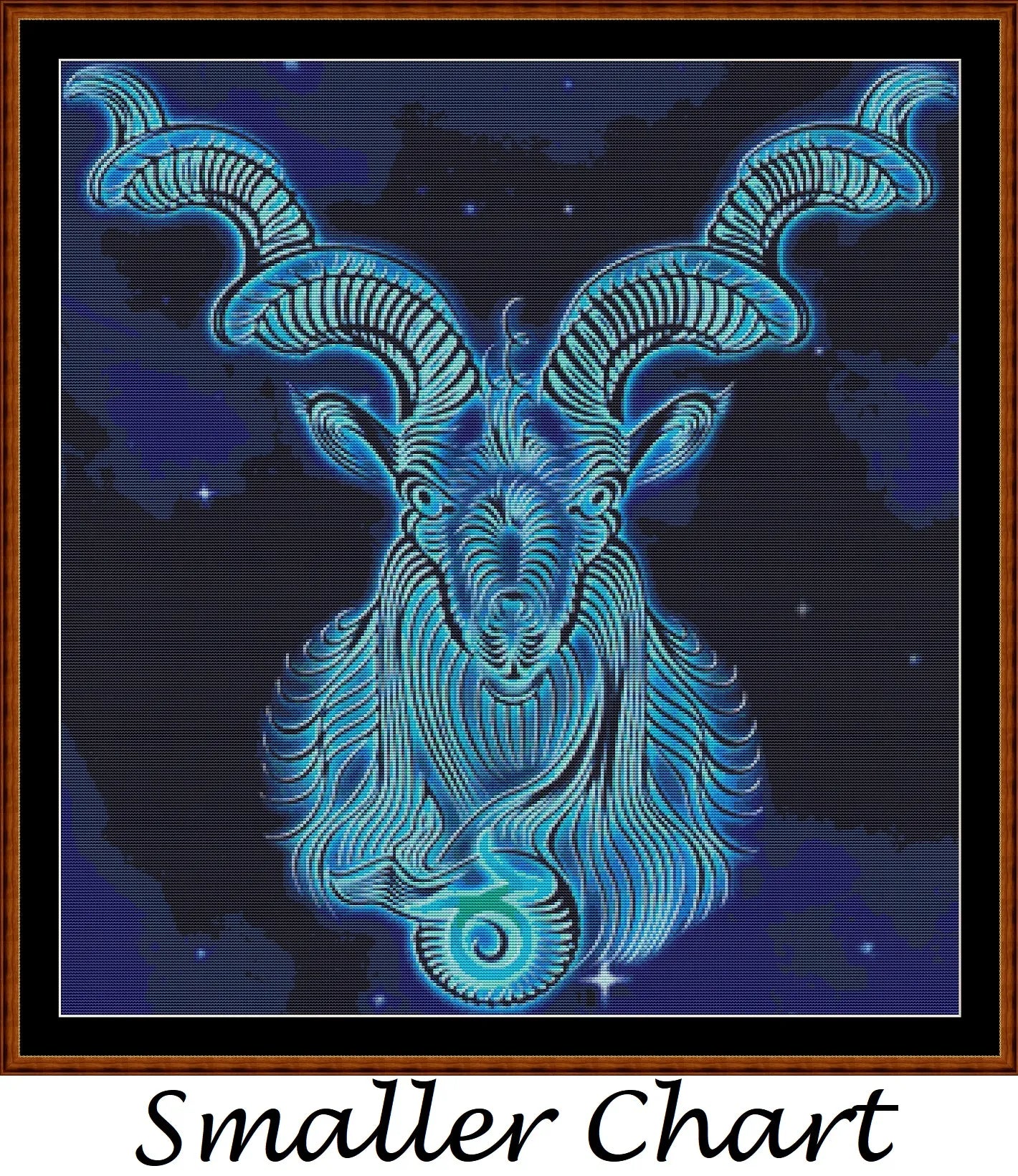 Astro - Capricorn  