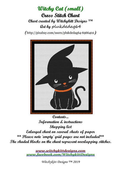 Witchy Cat  