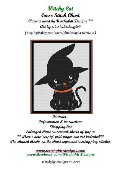 Witchy Cat  