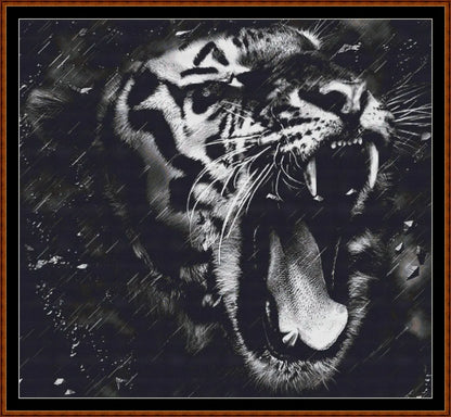 Open Wide