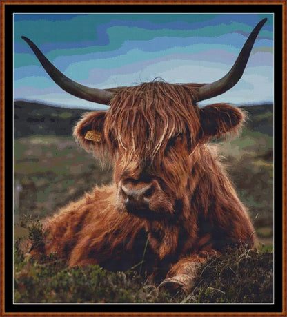Bad Hair Day  