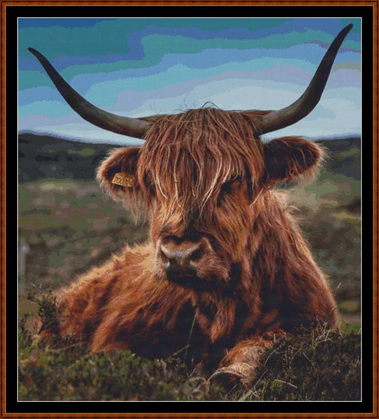 Bad Hair Day  