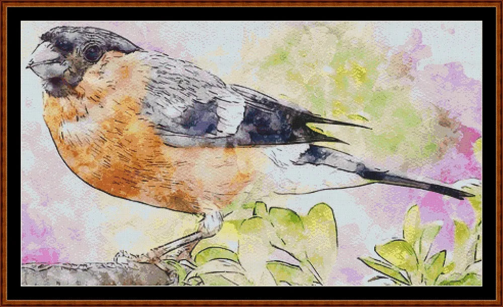 Bullfinch  