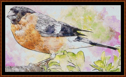 Bullfinch  