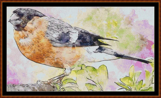 Bullfinch  