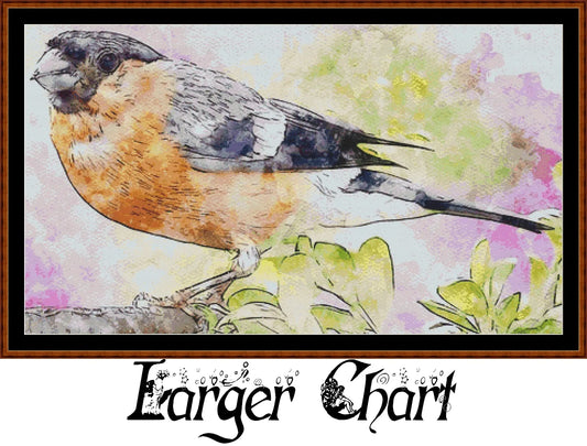 Bullfinch  