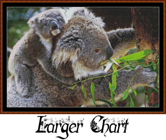 Koala Ride  