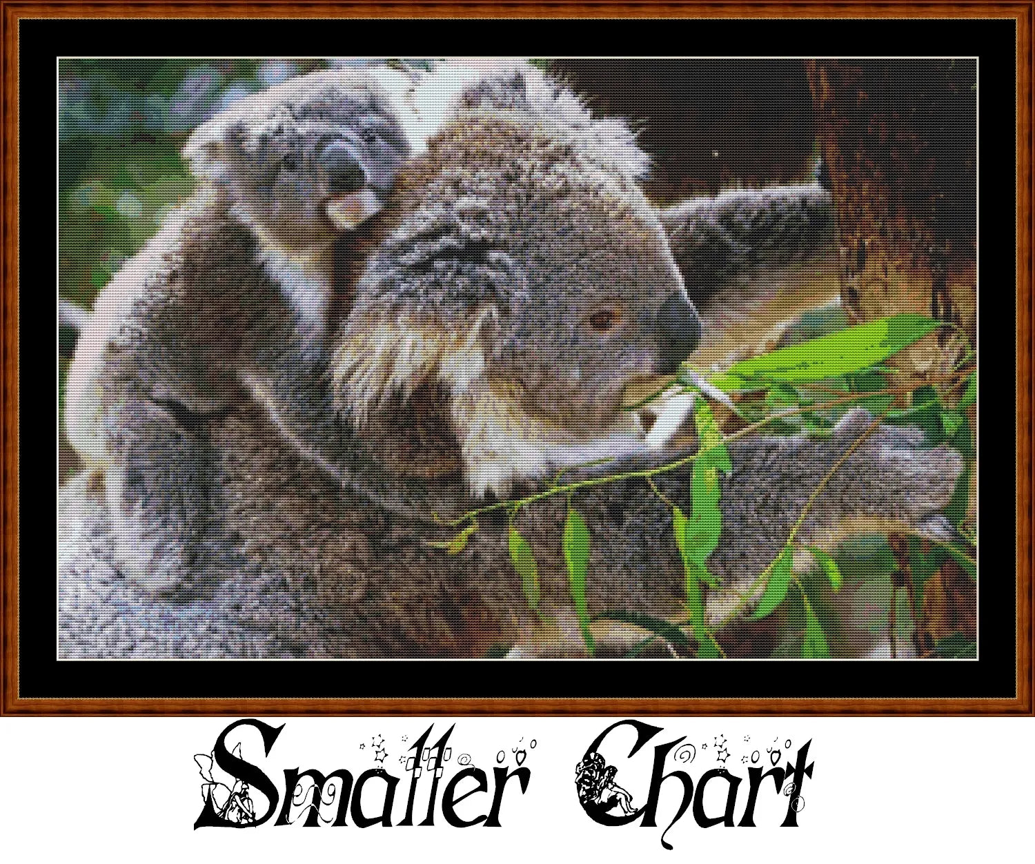 Koala Ride  