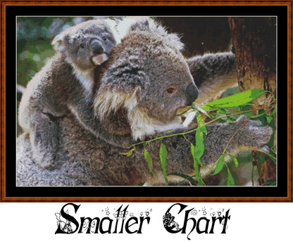 Koala Ride  