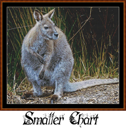 Wallaby patterns created from art by Holger Detje under CC0 license