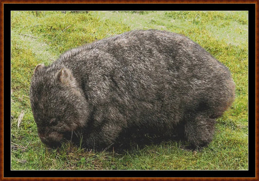 Wombat  