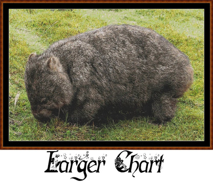 Wombat  