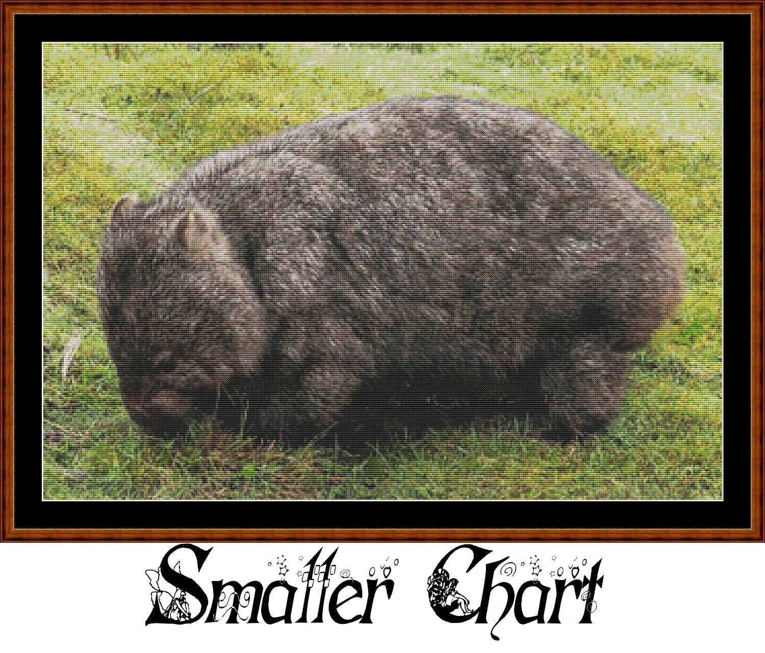 Wombat  