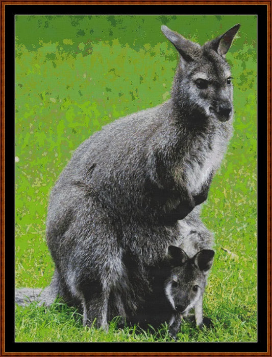 Kangaroo  