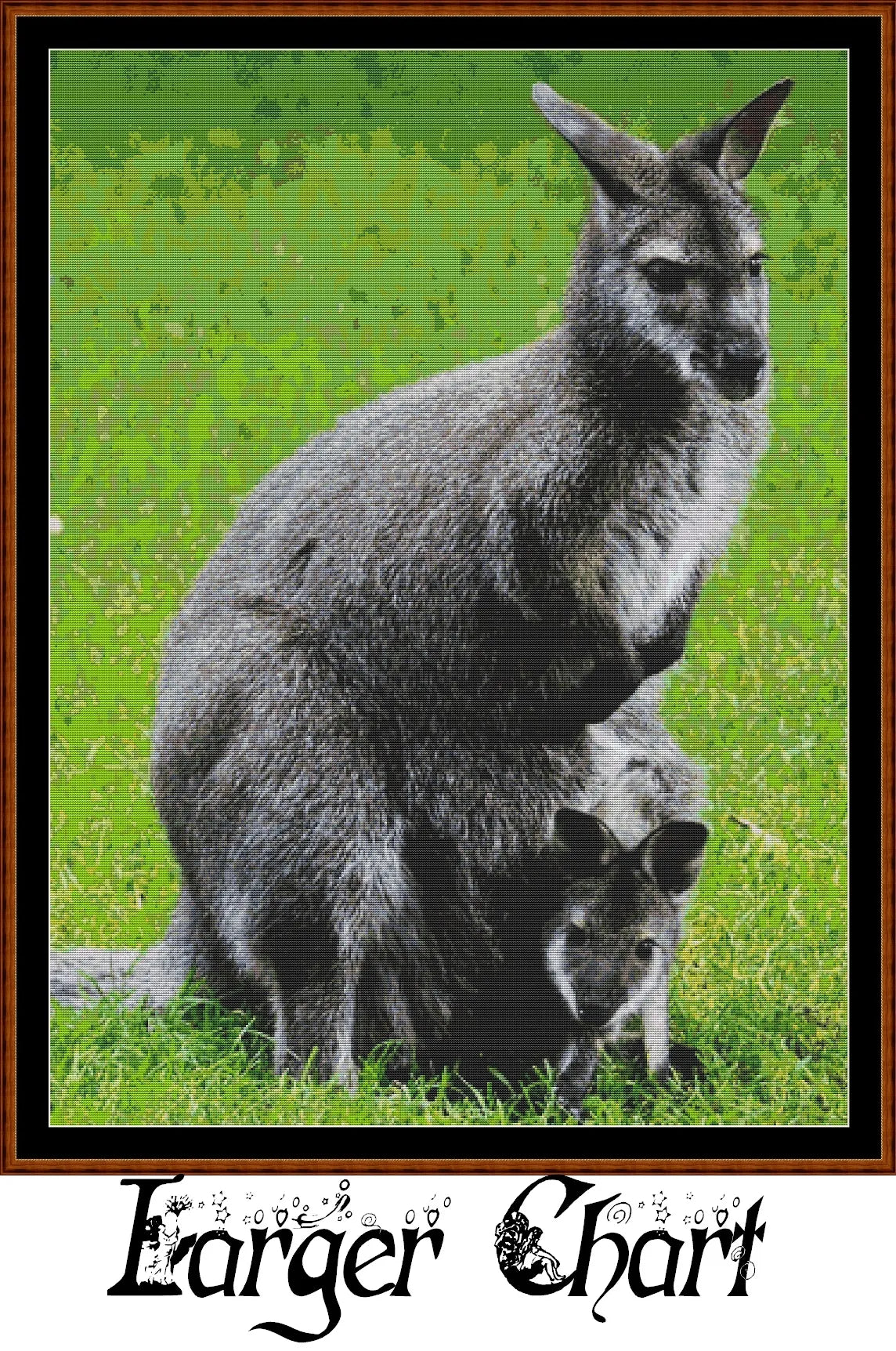 Kangaroo  