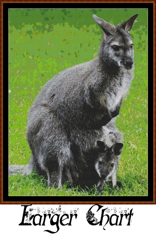 Kangaroo  
